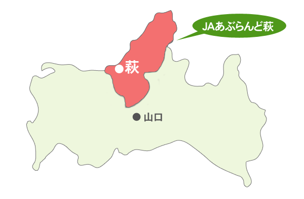 産地