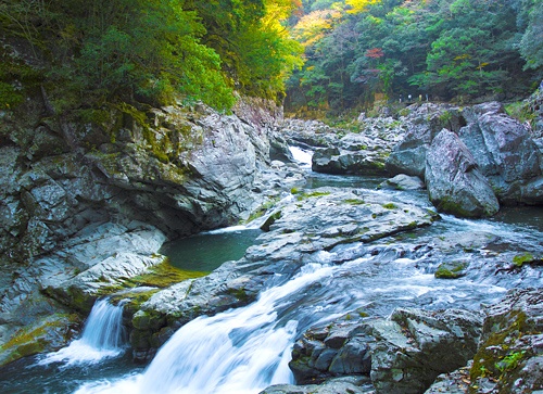 産地